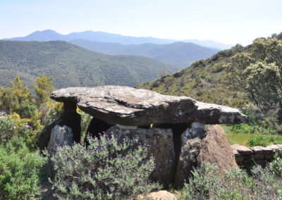 Dolmen du Parc naturel de l'Albera