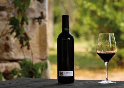 desgustation de vins d'emporda
