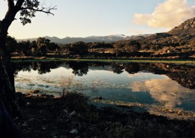 parc-naturel-de-l-albera